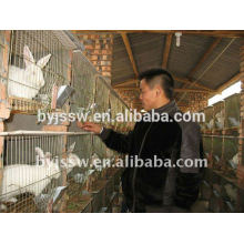 Luxury Rabbit Cage Materials